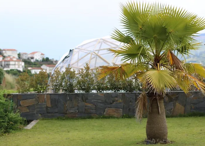 Quinta Fontainhas Mesão Frio